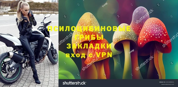 мдпв Белокуриха